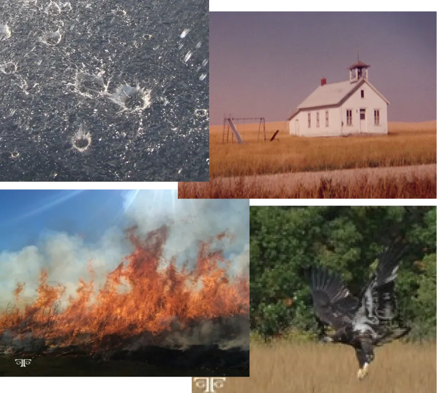 A series of photographs showing different types of fires.