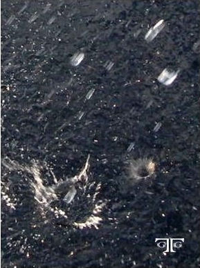 CIMG7386 A picture of the water surface taken from an airplane.