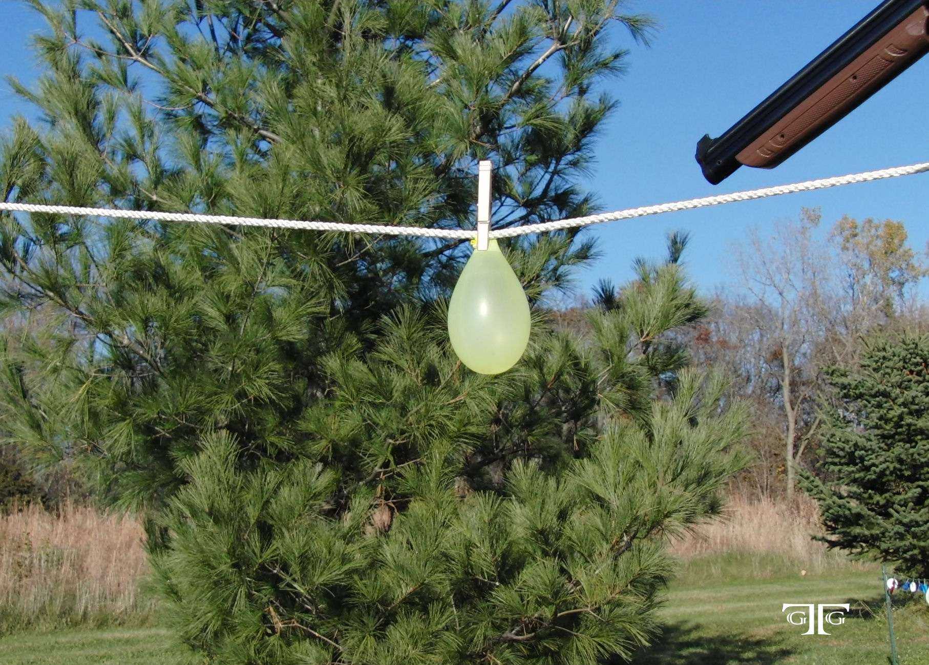 3rd Balloon - CIMG4589 Cropped 5x7 with GTG Lo A balloon hanging from a rope next to a tree.