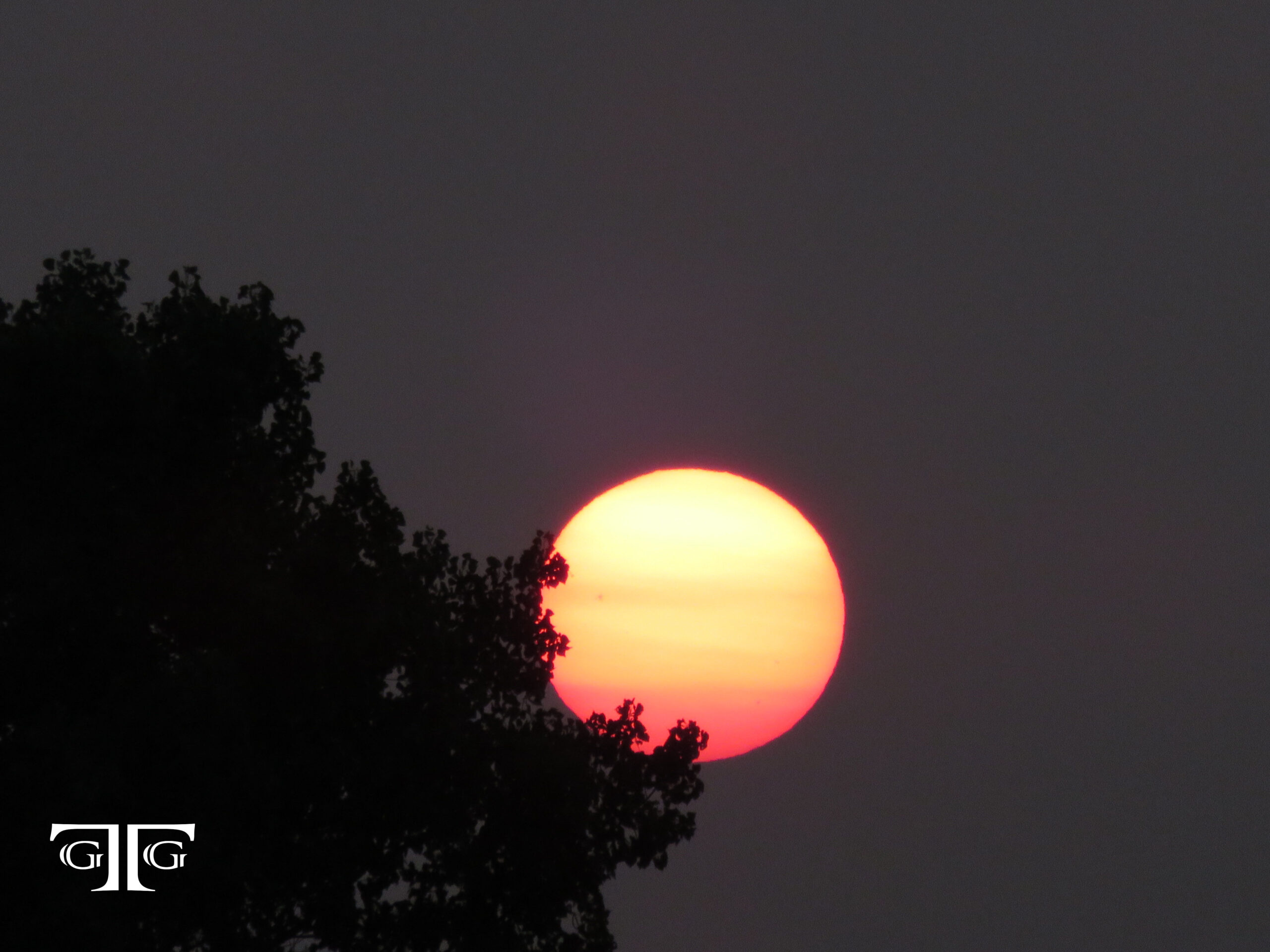 A sun setting behind the clouds in front of trees.