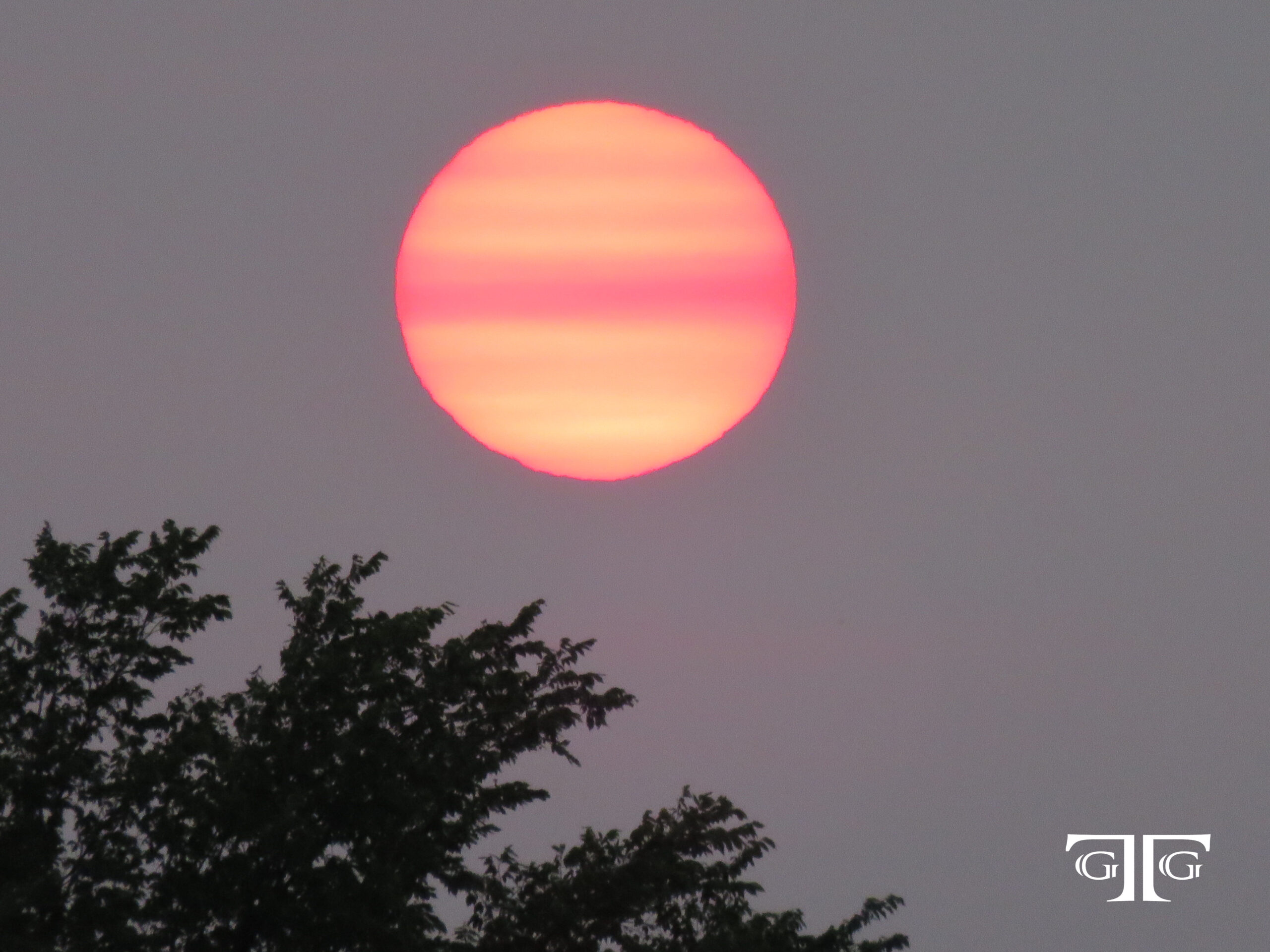 A red sun setting behind the clouds in front of trees.