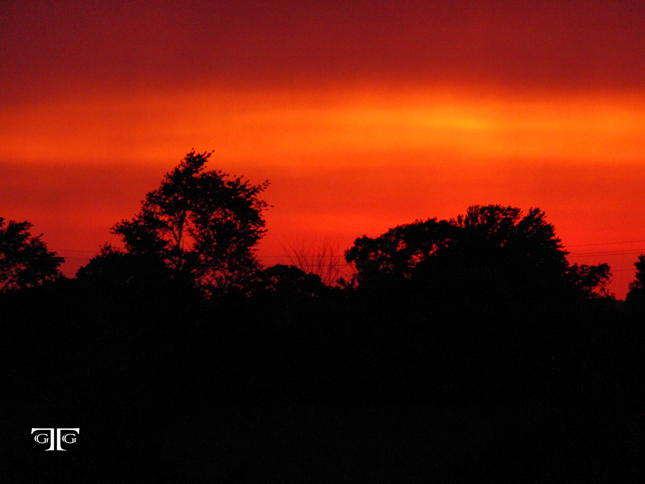 A red sky with trees in the foreground.